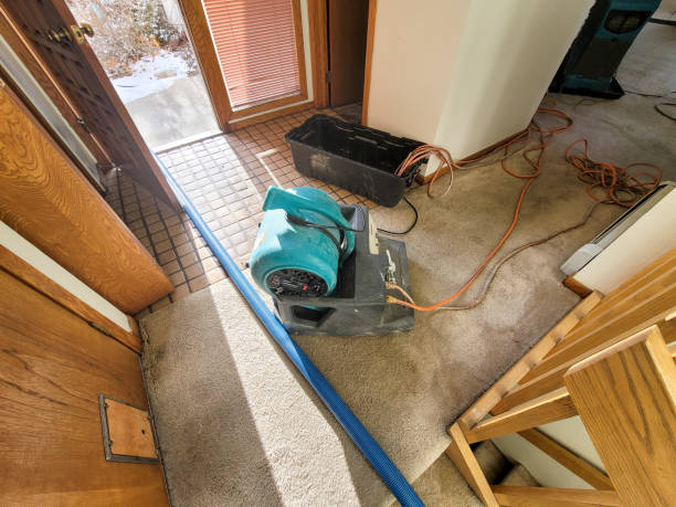 Best Sewage cleanup and water damage restoration  in Westville, OK