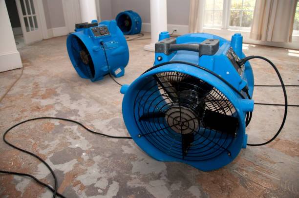 Best Local water damage restoration  in Westville, OK