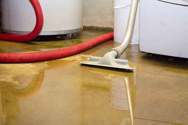 Best Carpet water damage restoration  in Westville, OK