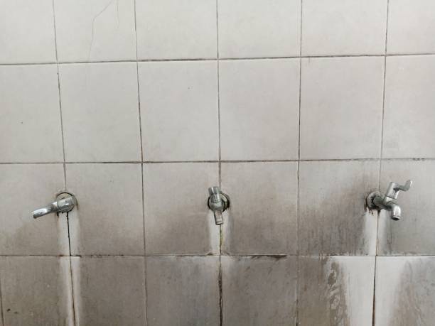 Best Mold removal after water damage  in Westville, OK