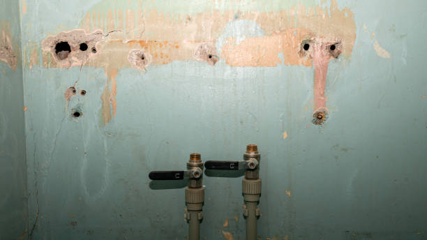 Best Residential water damage restoration  in Westville, OK