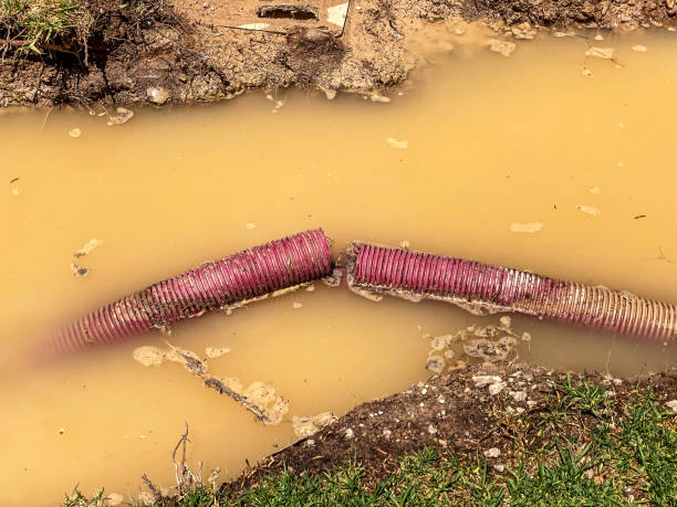 Best Water damage restoration near me  in Westville, OK
